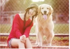 如何更好的和汪星人相處？