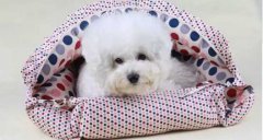 氣溫驟變，謹記寵物保暖工作哦！