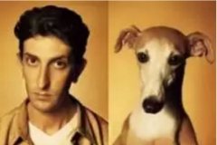 對于狗狗的這些秘密，您知道多少？