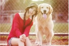 狗狗這樣看著你，表示它有話給你說