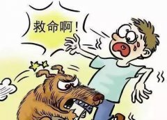 如遇惡犬咬人該怎么辦？這些知識(shí)也許能救命！
