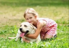 養(yǎng)狗一陣子，狗記一輩子