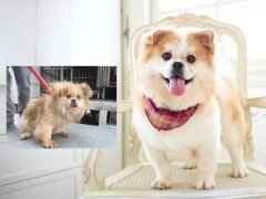 沒(méi)有誰(shuí)，天生丑陋。