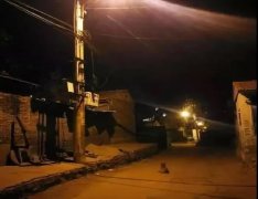 記憶中的老街巷口，有沒有一條等你回家的狗？