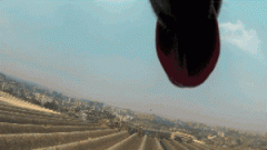 請(qǐng)你放過(guò)狗狗，不愛(ài)，但請(qǐng)別傷害！