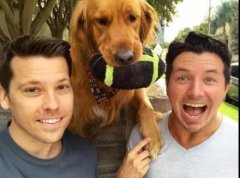 論演技，你恐怕比不上一只狗。。。