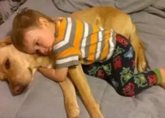 養(yǎng)狗千日，用在一時。。。。。