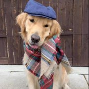 你就是那汪界網(wǎng)紅、弄潮兒?