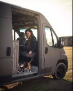 流浪貓私自闖上車被趕出，最后居然搭上順風(fēng)車