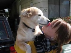 狗狗喜歡舔你，原來是想告訴你這些！