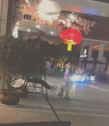 假如狗子能上網(wǎng)打字發(fā)圈，它會說... ?