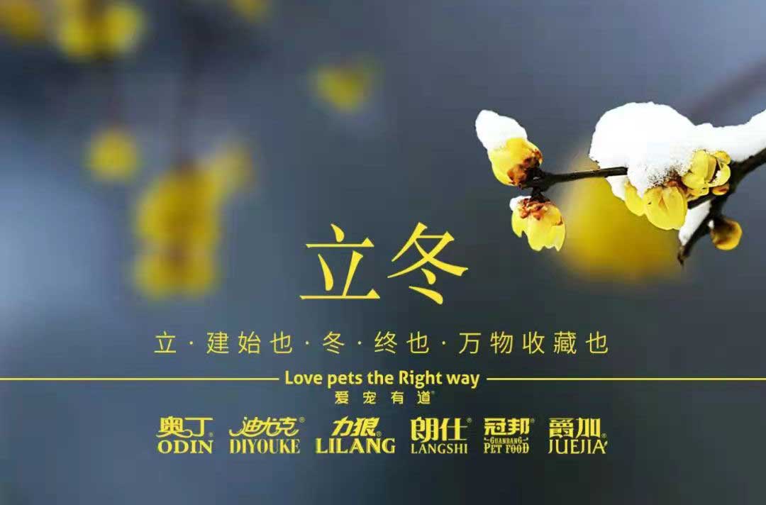 立冬丨冬寒初始，情暖愈濃