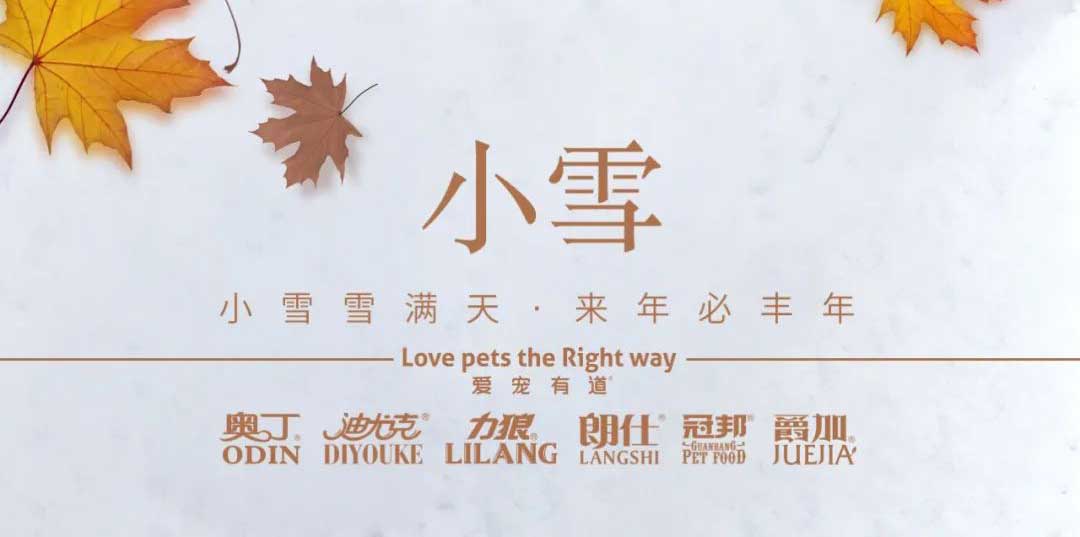 小雪丨天地初寒，歲月安暖